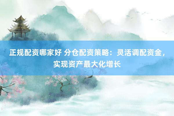 正规配资哪家好 分仓配资策略：灵活调配资金，实现资产最大化增长