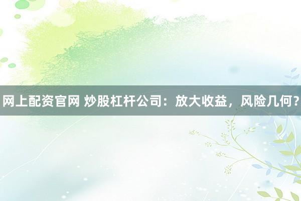 网上配资官网 炒股杠杆公司：放大收益，风险几何？
