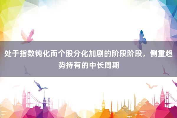 处于指数钝化而个股分化加剧的阶段阶段，侧重趋势持有的中长周期