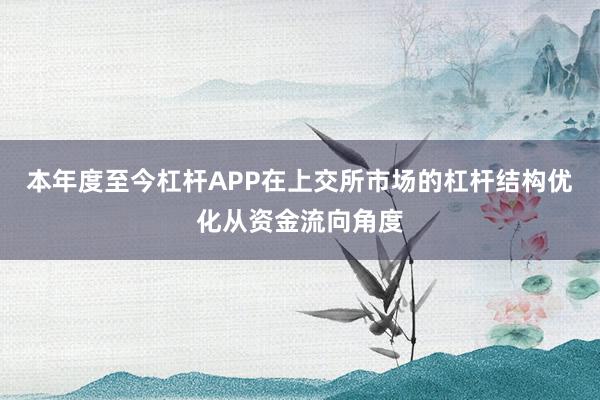 本年度至今杠杆APP在上交所市场的杠杆结构优化从资金流向角度
