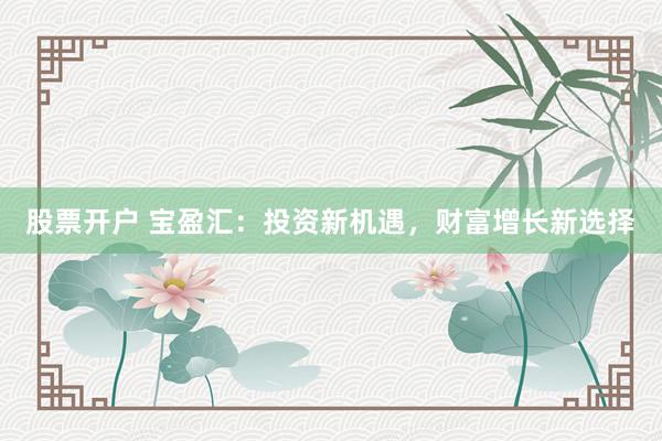 股票开户 宝盈汇:投资新机遇,财富增长新选择