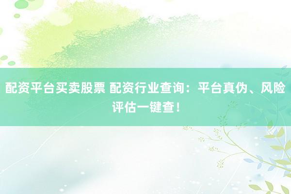 配资平台买卖股票 配资行业查询:平台真伪、风险评估一键查!