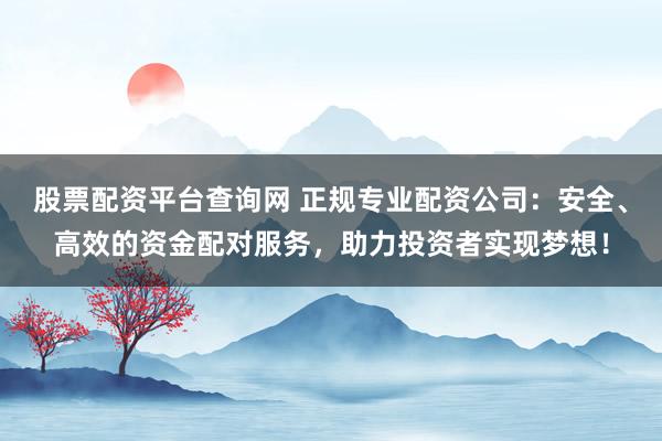 股票配资平台查询网 正规专业配资公司:安全、高效的资金配对服务,助力投资者实现梦想!