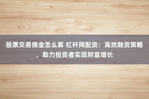 股票交易佣金怎么算 杠杆网配资：高效融资策略，助力投资者实现财富增长