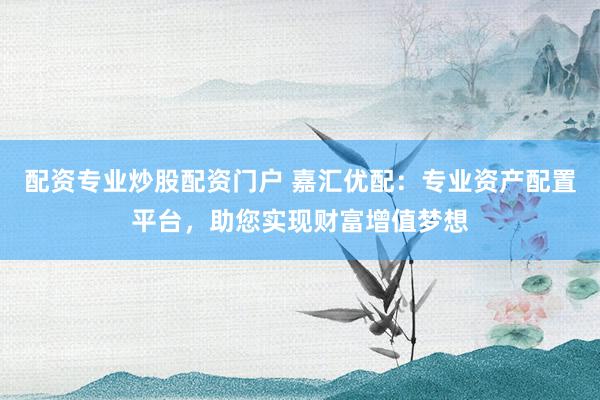 配资专业炒股配资门户 嘉汇优配：专业资产配置平台，助您实现财富增值梦想